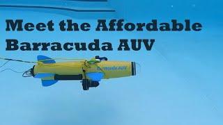 Meet the Affordable Barracuda AUV