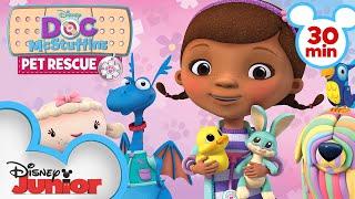 Pet Rescue  30 Minute Compilation  Doc McStuffins  @disneyjr