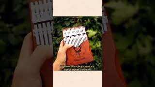 O poder da música Conheça o instrumento musical Mbira