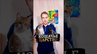 Сколько насчитали? #недвижимость #москва #риелтор #ипотека #кошки