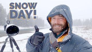 Snowy Wildlife Photography in the Tetons -  A WinterVlog