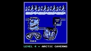 High Level Battletoads Gameplay in Arctic Caverns