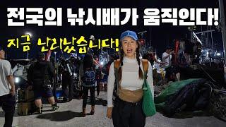 이 날을 기다렸다 바다의 박카스 바닥을 뜯으면 보양식이 쏟아진다말이 필요 없는 문어를 잡아서 먹어보자문어 두 배로 잡는 법