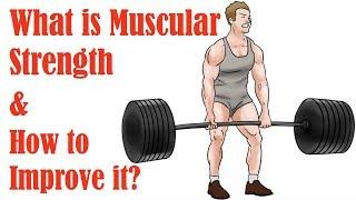 1.  What is Muscular Strength and How to Improve It
