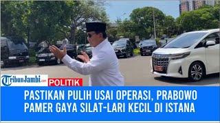 Pastikan Pulih Usai Operasi Prabowo Pamer Gaya Silat Lari Kecil di Istana