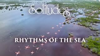 Dan Gibson’s Solitudes - Coastal Marsh  Rhythms of the Sea
