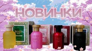 ПОСЛЕДНИЕ НОВИНКИ ИЗ МАГАЗИНОВ