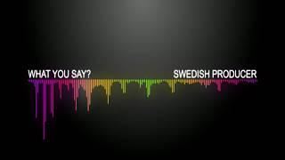 Swedish Producer - What You Say? REMIX