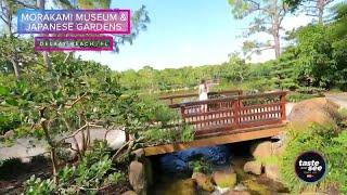 Explore Floridas Best Japanese Garden  Taste and See Tampa Bay