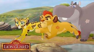 The Lion Guard Defends the Circle of Life  The Lion Guard  Disney Junior