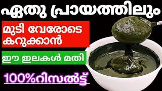 Natural Hair Dyeഏതു പ്രായത്തിലും മുടി വേരോടെ കറുക്കാൻ ഈ ഇല മതി#trending#hairdye#hairgrowthtips