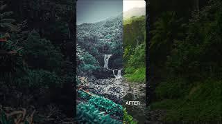  Jungle Transformation Greenery to Teal Color Grading Magic 