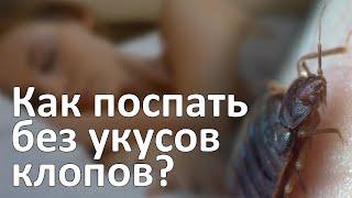 Как защититься от клопов во время сна и переночевать в квартире с клопами до приезда дезинфекторов?