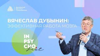 Вячеслав Дубынин Эффективная работа мозга