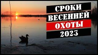 Сроки весенней охоты 2023 и новые правила охоты 