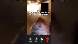 Hamster Calling Meme #TheManniiShow.comseries