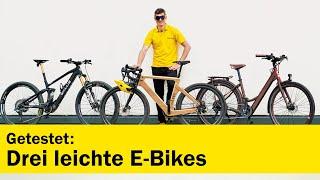 3 E-Bikes unter 20 kg im Vergleichstest  ÖAMTC auto touring