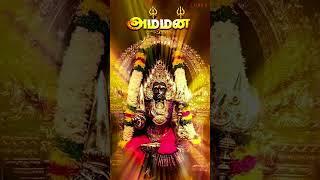 அம்மையே முத்துமாரியே  Amman Bhakthi Paadalgal  Devotional Song 