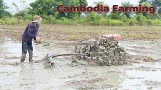 Wonderful Farming Life Of Cambodian People  Cambodia Farming  khmer rural post 
