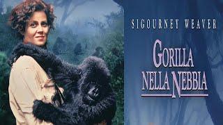 Gorilla nella nebbia film 1988 TRAILER ITALIANO