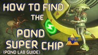 How To Find The Pond Super Chip Pond Lab  Easy Grounded Guides