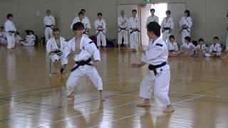 Shorinji Kempo JAPAN Cool fighters