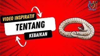 VIDEO INSPIRATIF TENTANG KEBAIKAN KISAH INSPIRASI