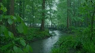 The beautiful little river is raining234  sleep relax meditate study work ASMR
