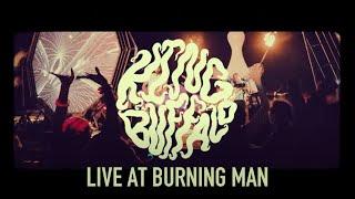 King Buffalo - Live at Burning Man Concert Film