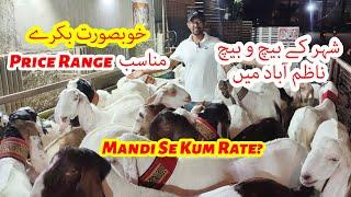 Khubsurat Bakray Munasib Rate City K Beech O Beech USA Goat Farm. Bakra Eid 2024