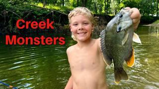 Huge Creek Monsters in the Swimming Hole