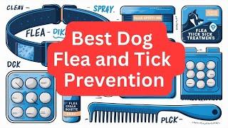 Best Dog Flea and Tick Prevention Keep Your Pet Safe