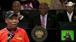 Julius Malema EFF Advised In Parliament By President Cyril Ramaphosa Of South Africa Kindly