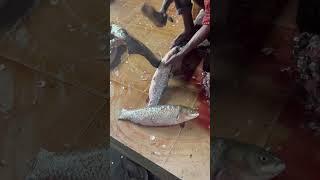 LIVE fish Cutting in Bangladeshi Market