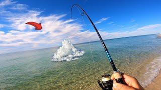 The Most IMPOSSIBLE Beach Fish to Find Secrets Revealed