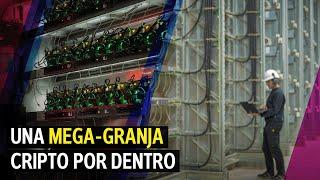 Cómo es y cómo funciona una MEGA GRANJA CRIPTO por dentro cuánto consume y por qué está en CÓRDOBA