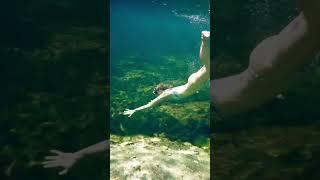 Lift me up and let me dive in. More videos on my new YouTube channel Jenna Citrus Underwater