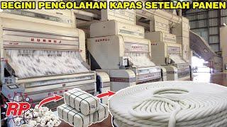 BEGINI CARA KAPAS DIPROSES DI PABRIK MODERN SETELAH PANEN HINGGA SIAP JUAL UNTUK PABRIK TEKSTIL