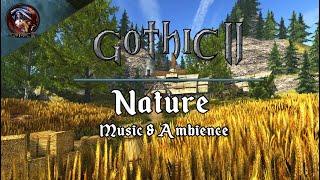 Gothic 2 Music & Ambience   Nature Exploration  Relaxing