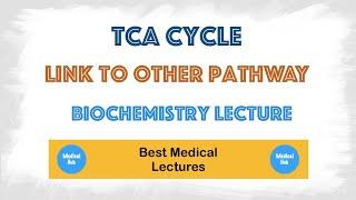Krebs  TCACitric acid cycle biochemistry link to other metabolic pathway