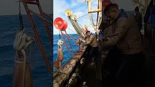 mancing cumi dapat besar #nelayan #kapalikan #fishing