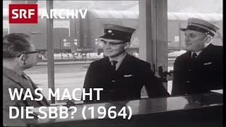 Berufe bei der SBB 1964  Jobs bei der Bahn  SRF Archiv