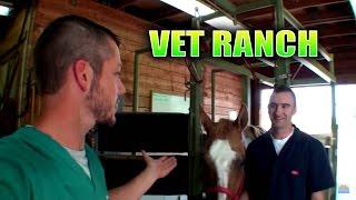 New Large Animal Vet on Vet Ranch