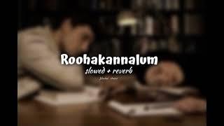 Roohakannalum  slowed + reverb 