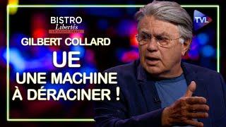 UE une machine à déraciner  Bistro Libertés avec Gilbert Collard - TVL