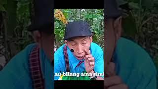 kesampluk cumplung