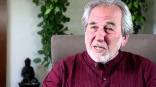 A Love Bomb Interview Excerpt Bruce Lipton Phd - On Living in Love vs. Fear for Health