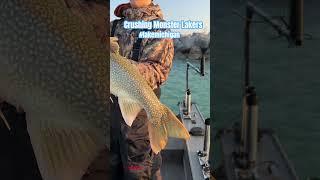 #laketrout #lakemichigan #fishing #kidrock #bigfish #shortsviral #shorts #trout #lakers