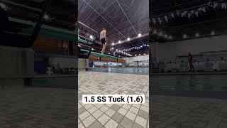 1.5 SS Tuck  Highschool Diving