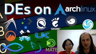 Tier list Desktop Environments on Arch Linux featuring my wife